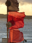 FZ019456 Buoy marker flags on fishing boat.jpg